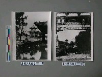 藏品(張公祠中之荷花)的圖片